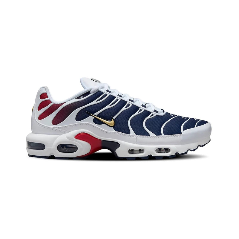 Air Max Plus TN PSG