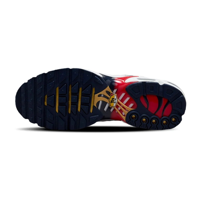 Air Max Plus TN PSG